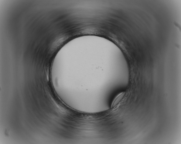 X0000097470062200803141922