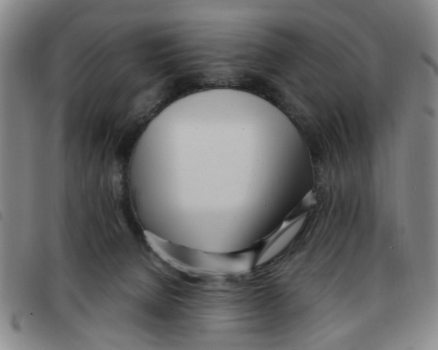 X0000097470080200803141922