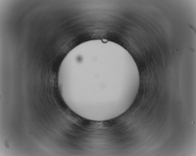 X0000097470083200803141922