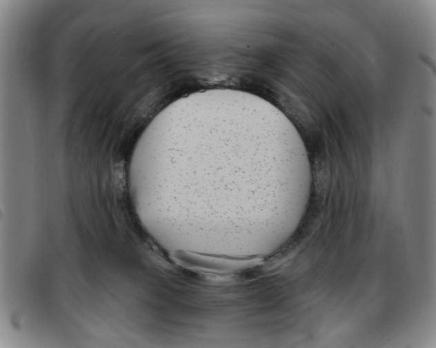 X0000097470085200803141922