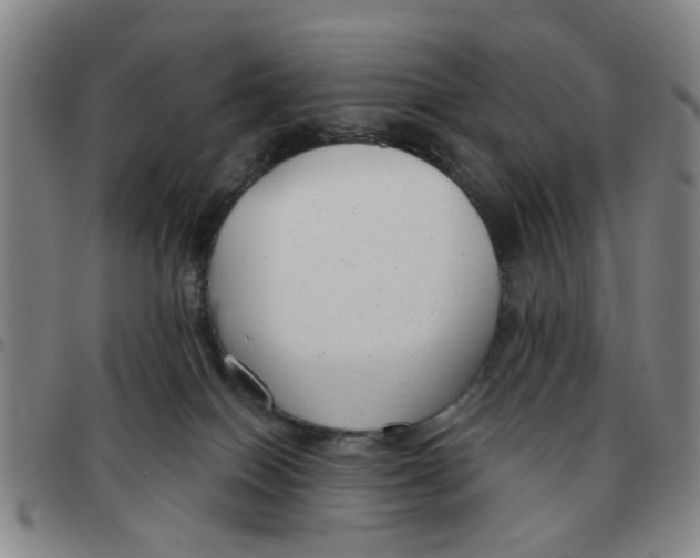 X0000097470086200803141922