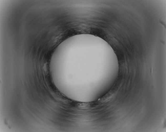 X0000097470088200803141922