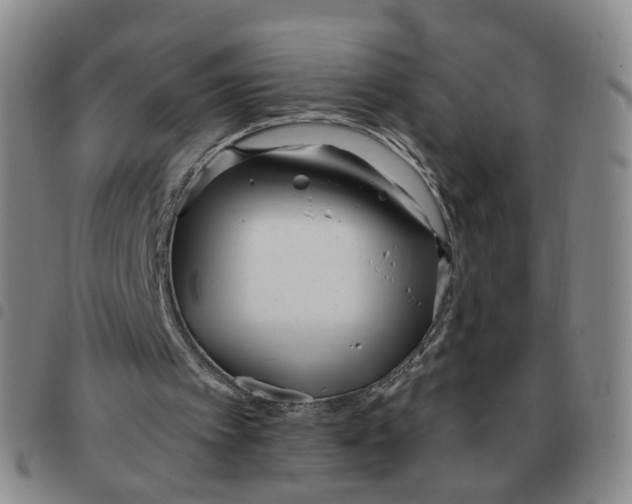 X0000097470097200803141921