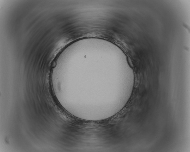 X0000097470098200803141921