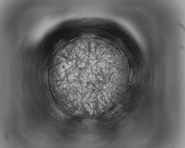 X0000097470099200803141921