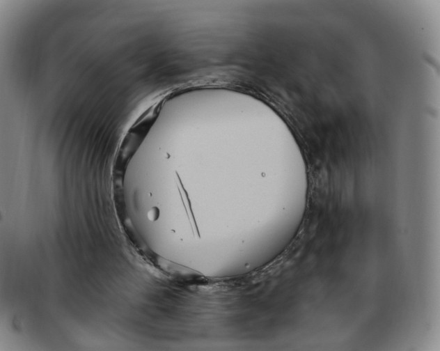 X0000097470100200803141921