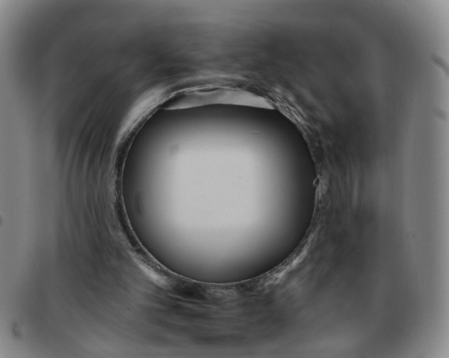 X0000097470101200803141921