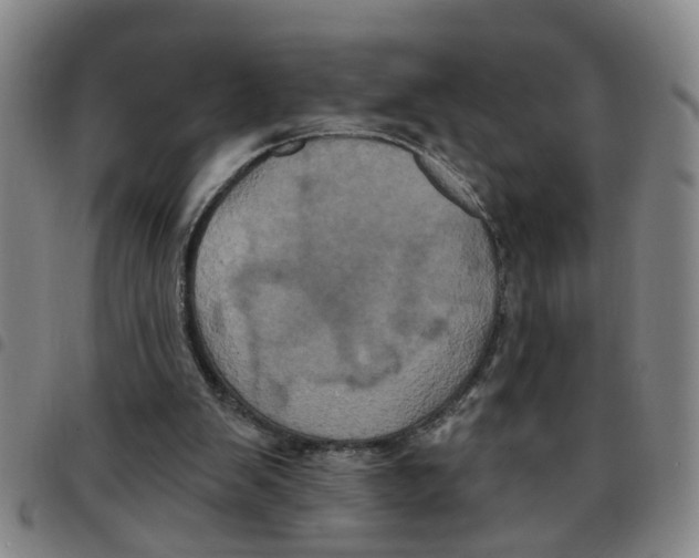 X0000097470103200803141921