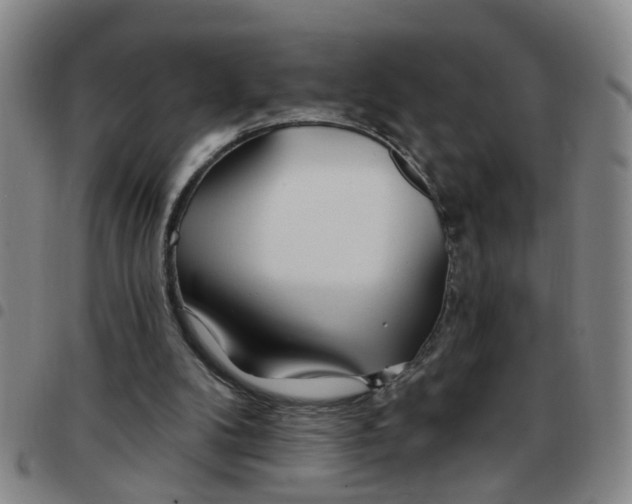 X0000097470104200803141921