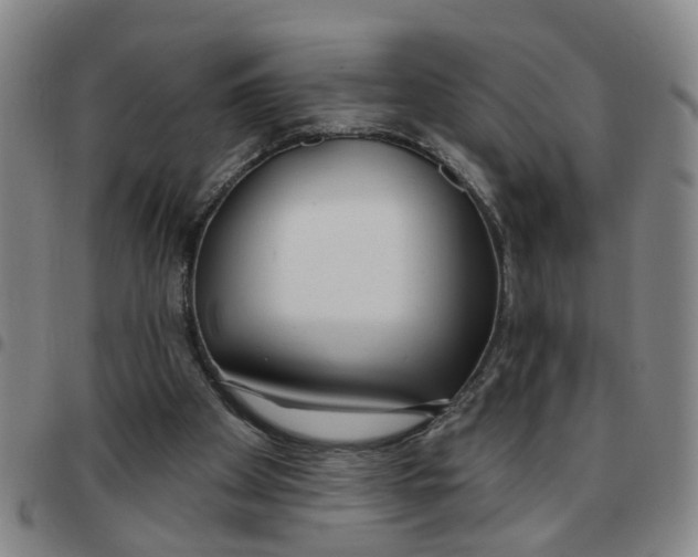 X0000097470105200803141921