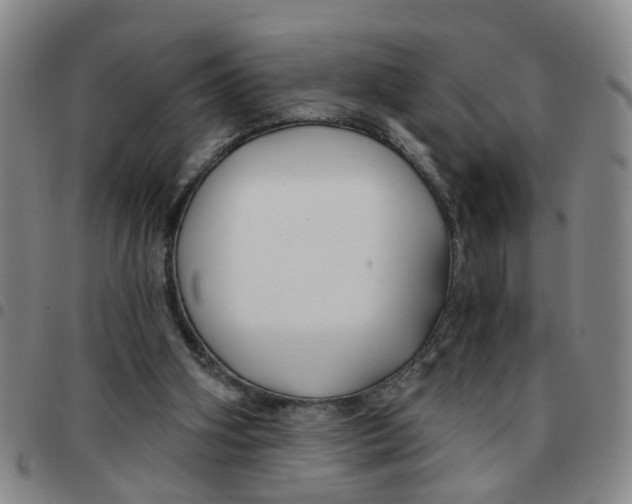 X0000097470106200803141921