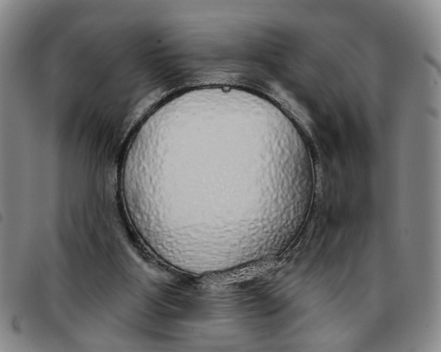 X0000097470107200803141921