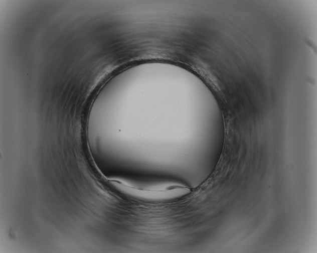 X0000097470108200803141921