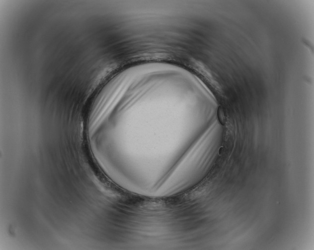 X0000097470110200803141921