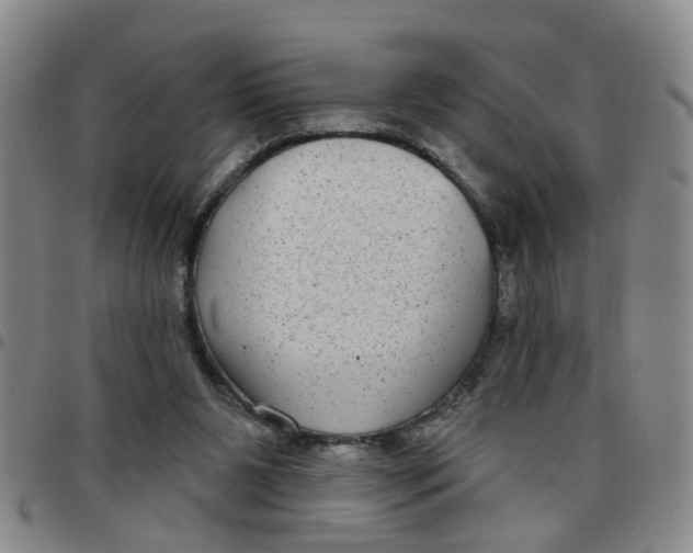 X0000097470111200803141921