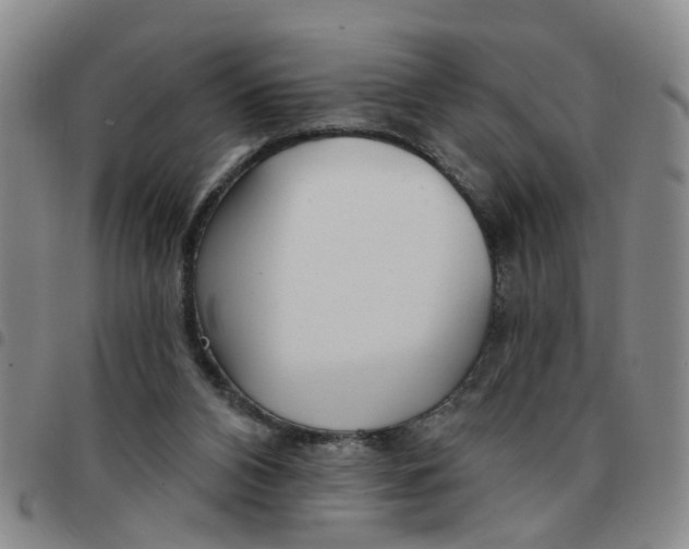 X0000097470112200803141921