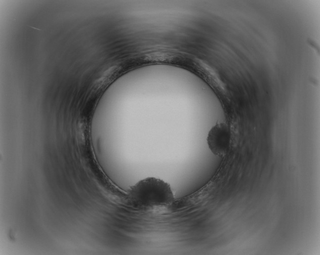 X0000097470114200803141921