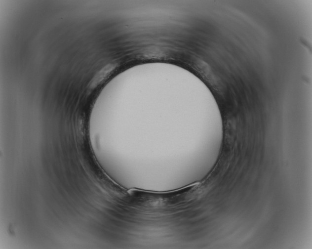 X0000097470116200803141921