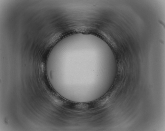 X0000097470117200803141921