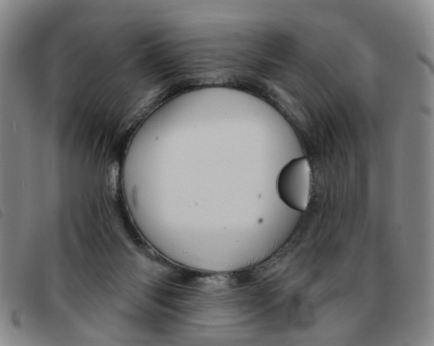 X0000097470118200803141921