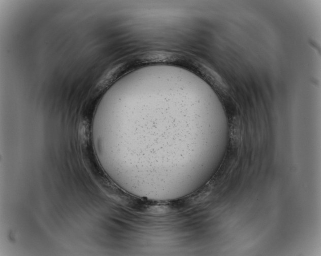 X0000097470119200803141921