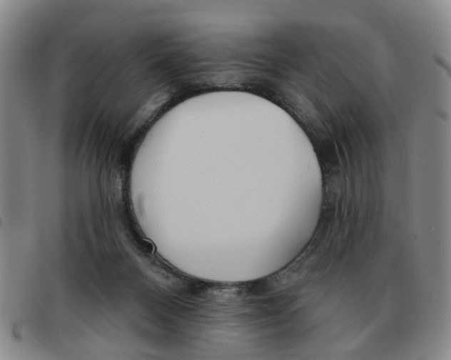 X0000097470120200803141921