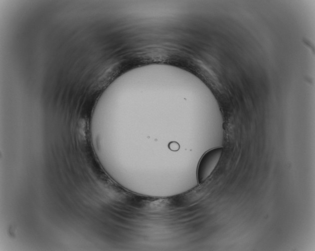 X0000097470122200803141921