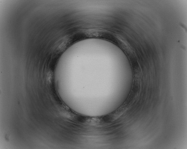 X0000097470125200803141921