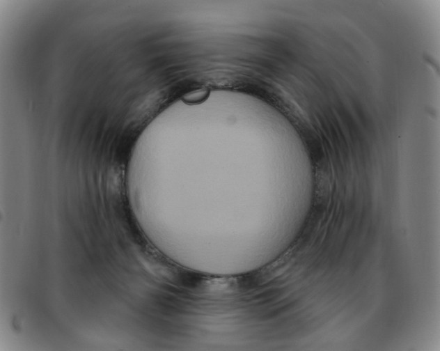 X0000097470126200803141921