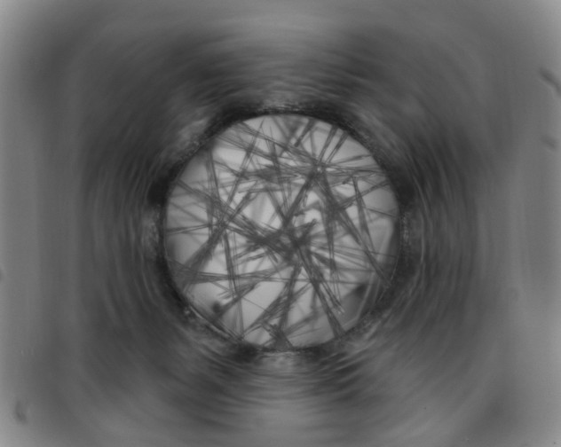 X0000097470127200803141921