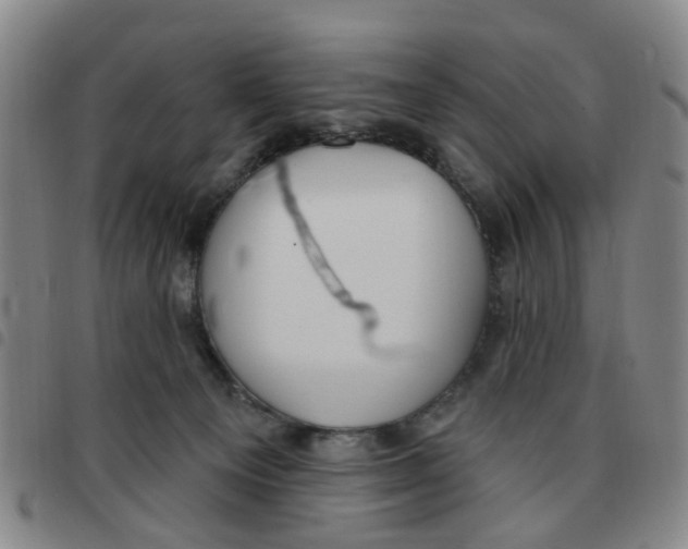 X0000097470129200803141921