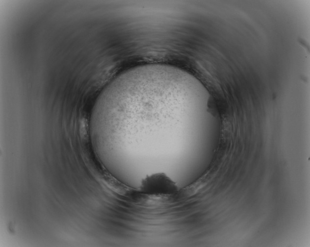 X0000097470130200803141921