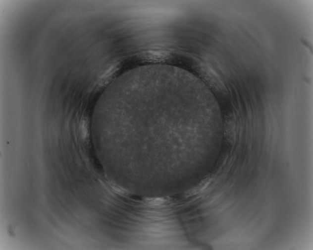 X0000097470131200803141921