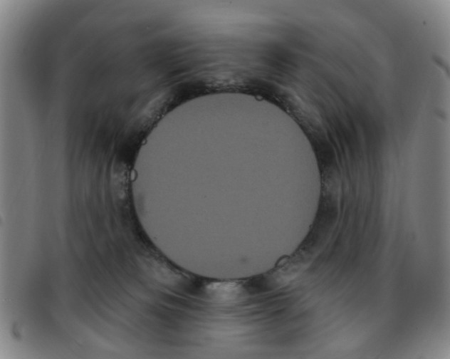 X0000097470133200803141921