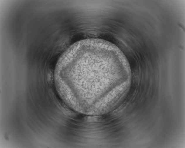 X0000097470134200803141921