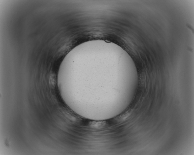 X0000097470135200803141921