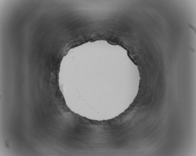 X0000097470144200803141921