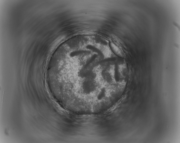 X0000097470145200803141920