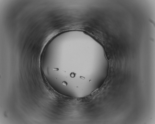 X0000097470148200803141920