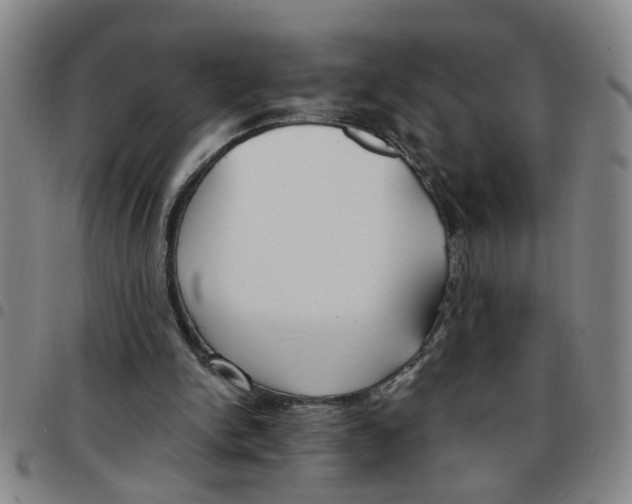 X0000097470150200803141920