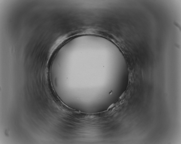 X0000097470152200803141920