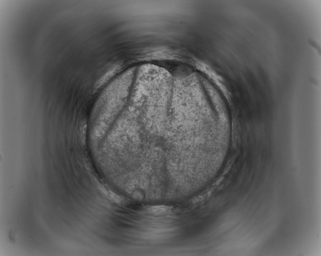 X0000097470153200803141920