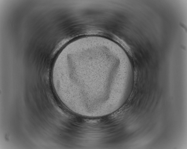 X0000097470155200803141920