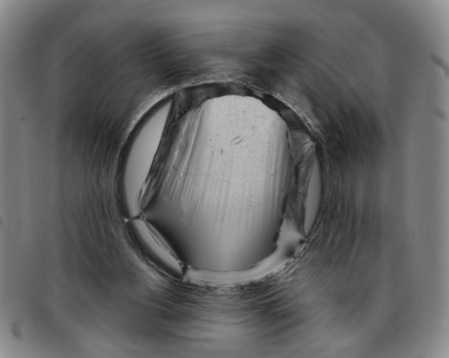 X0000097470156200803141920