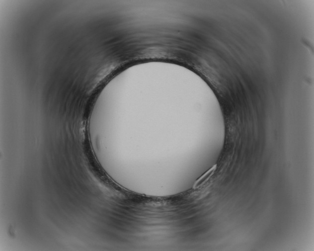 X0000097470160200803141920