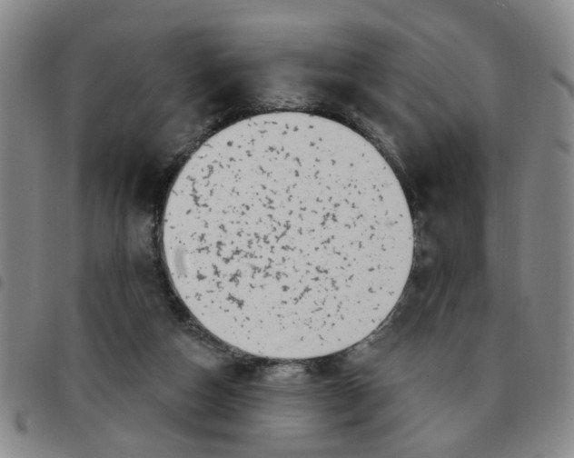 X0000097470162200803141920