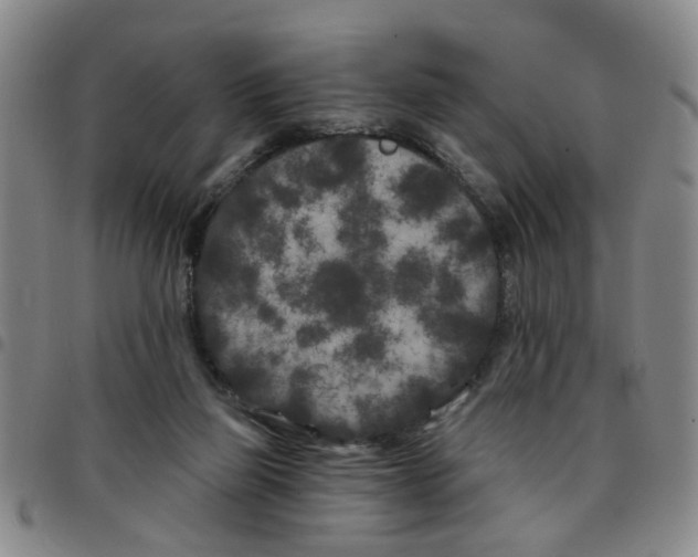 X0000097470165200803141920