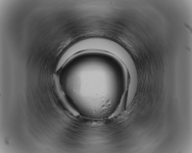 X0000097470168200803141920