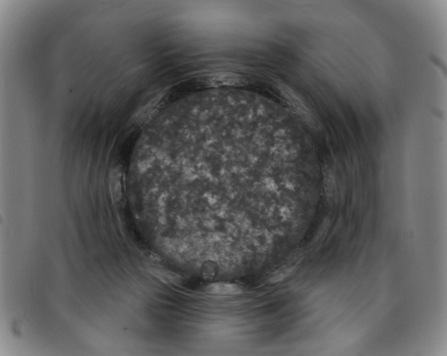 X0000097470169200803141920