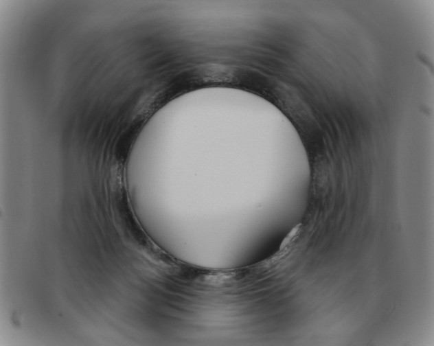 X0000097470172200803141920